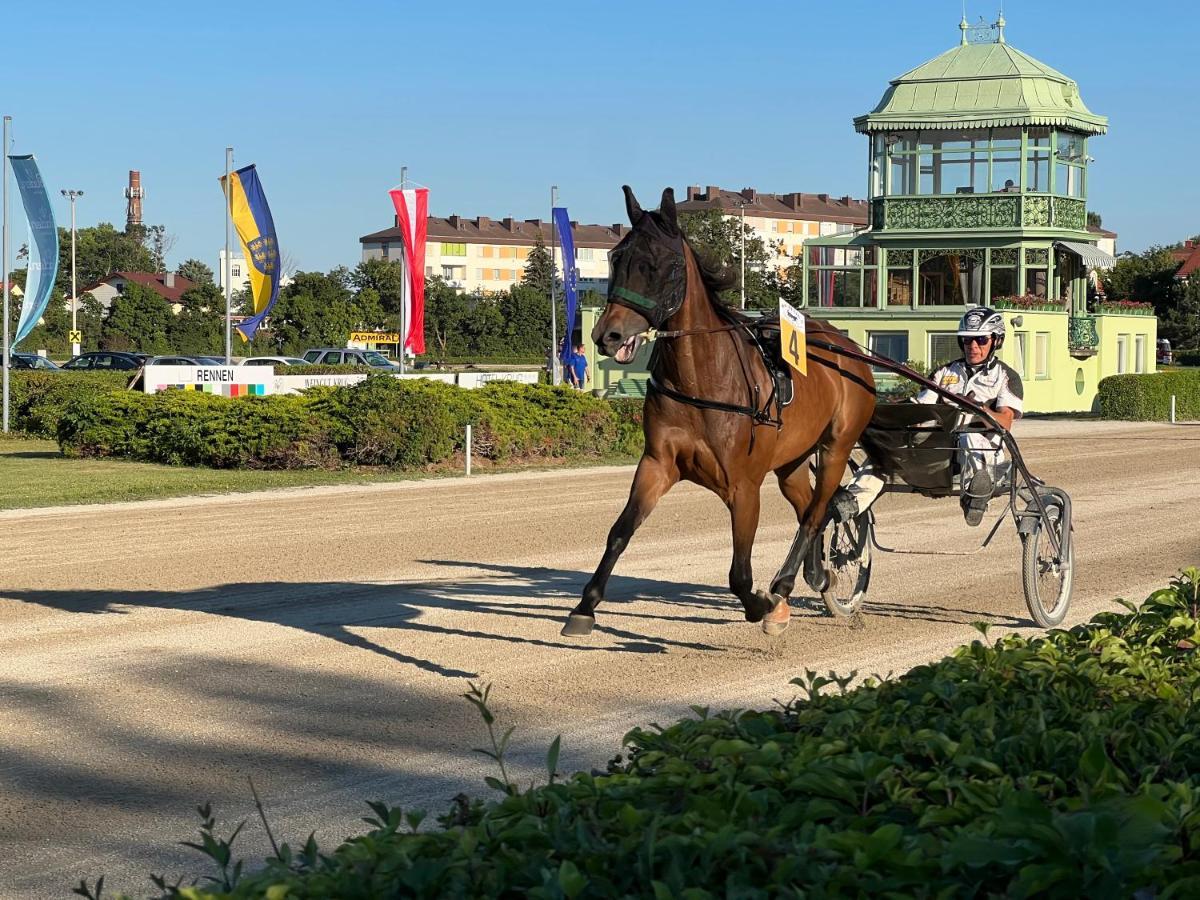 Appartment Rosengarten Baden bei Wien Zewnętrze zdjęcie
