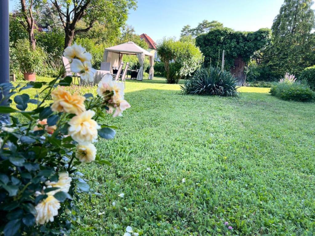 Appartment Rosengarten Baden bei Wien Zewnętrze zdjęcie